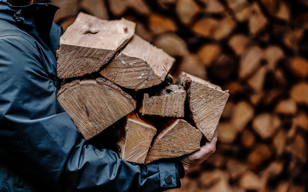 Which Firewood Is Best? A Guide To The Right Wood