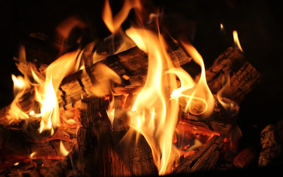 Enhance Your Fireplace Experience: Quality Firewood Delivery Service Ideas