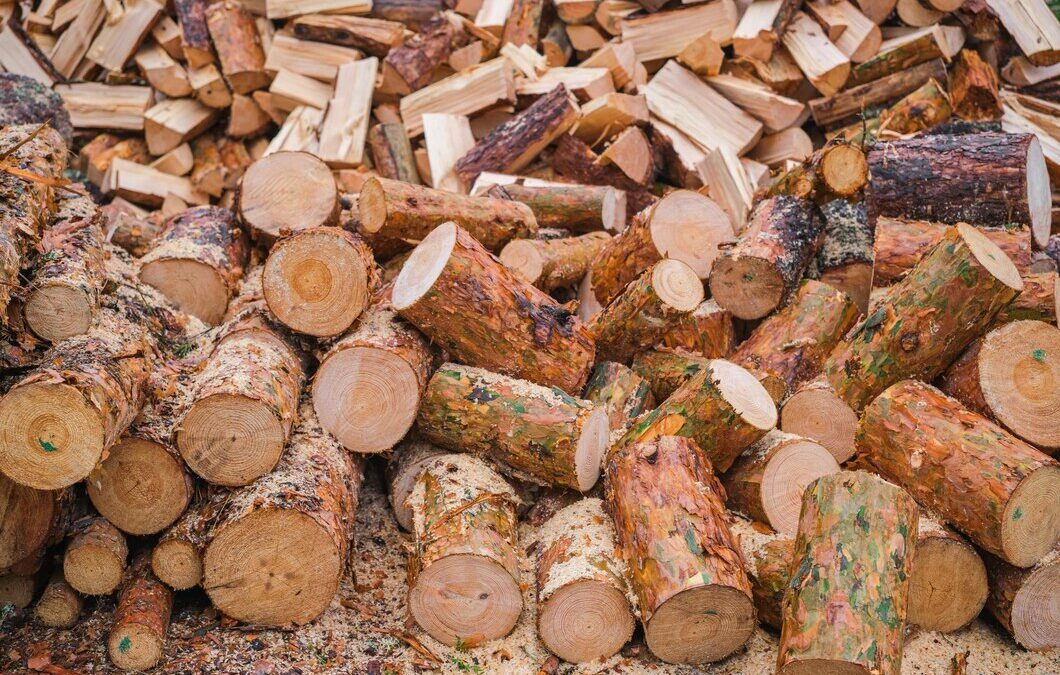 Does Firewood Attract Termites? How To Store Wood Safely