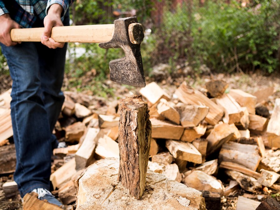 How Much Is a Cord of Firewood? Pricing And Value