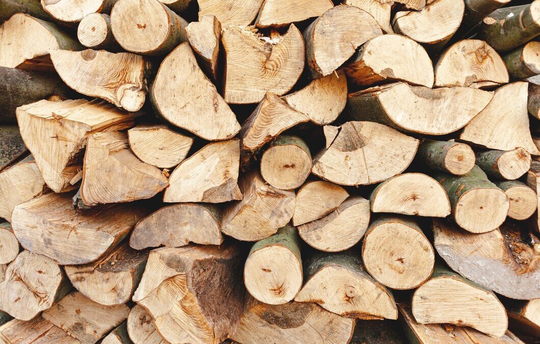 What Firewood Burns The Longest? A Guide To Selecting The Best Firewood