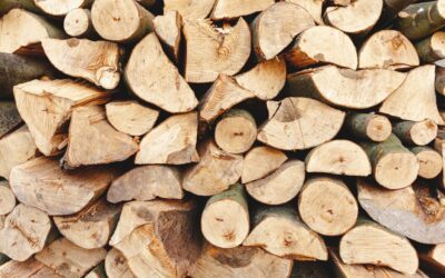 What Firewood Burns The Longest? A Guide To Selecting The Best Firewood