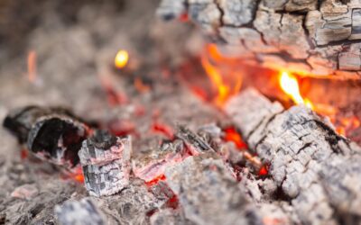 Is Firewood Ash Good For Gardens?