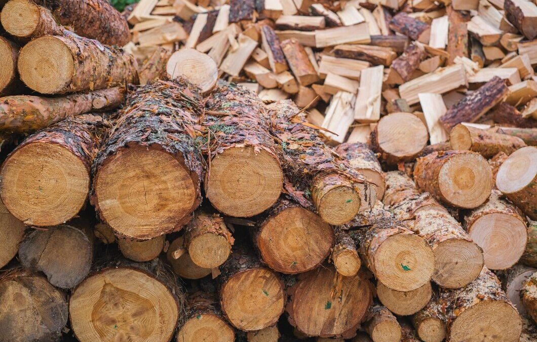 Which Firewood Is Best? A Guide To The Right Wood