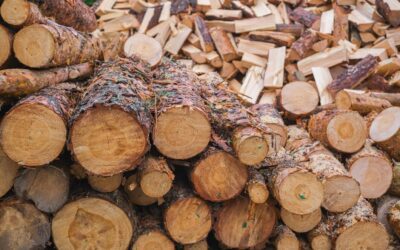 What Firewood Produces the Most BTUs? Discover Top Choices At Beaver Creek Firewood