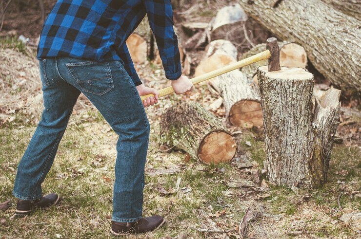 Should Firewood Be Split Before Seasoning?