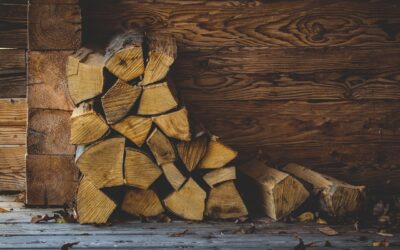 Can Firewood Be Stored in the Garage? Best Practices for Safe Storage